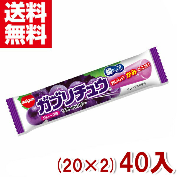 楽天ゆっくんのお菓子倉庫2号店明治チューインガム ガブリチュウ グレープ （20×2）40入 （駄菓子 ソフトキャンディ）（ポイント消化） （np-3）（賞味期限2025.4月末） （メール便全国送料無料）