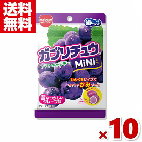 明治チューインガム ガブリチュウmini グレープ 28g×10入 (ポイント消化) (np-2)(賞味期限2025.1月末) (メール便全国送料無料)