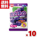 明治チューインガム ガブリチュウmini グレープ 28g×10入 (ポイント消化) (np)(賞味期限2024.12月末) (メール便全国送料無料)