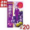 楽天ゆっくんのお菓子倉庫2号店味覚糖 20g 忍者めし 巨峰味 （10×2）20入 （あす楽対応）（ポイント消化） （np） （賞味期限2025.1月末） （メール便全国送料無料）