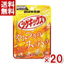 楽天ゆっくんのお菓子倉庫2号店味覚糖 シゲキックス レモン （10×2）20入 （あす楽対応）（ポイント消化） （np） （賞味期限2024.12月末） （メール便全国送料無料）