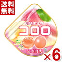 味覚糖 コロロ 清水白桃 グミ 40g×6入 (期間限定 グミ お菓子) (ポイント消化) (np-2) (賞味期限2025.12月末) (メール便全国送料無料)