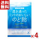 味覚糖 透き通ったミントのおいしいのど飴 92g×4袋 (ポイント消化)(np) (メール便全国送料無料)