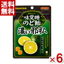 味覚糖 味覚糖のど飴 濃い邪払 62g×6袋入 (じゃばら のど飴 キャンディ)(ポイント消化) (np)(賞味期限2024.12月末) (メール便全国送料無料)