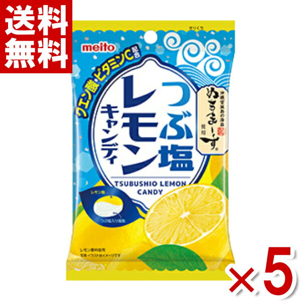 名糖 つぶ塩レモンキャンディ 70g×5入 (ポイント消化) (np)(賞味期限2023.8月末) (メール便全国送料無料)