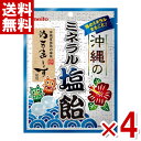 名糖 沖縄のミネラル塩飴 80g×4袋セット (熱中症対策) (ポイント消化) (np) (賞味期限2026.6月末) (メール便全国送料無料)