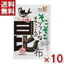 中野物産 そこそこソフトなおやつこんぶ 都こんぶ 9g×10入 (ポイント消化) (np-2) (賞味期限2025.10.12) (メール便全国送料無料)