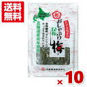 中野物産 おしゃぶり昆布梅 10g×10入 (ポイント消化)(np) (賞味期限2024.9月末) (メール便全国送料無料)