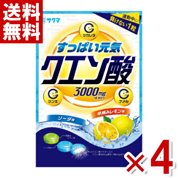 サクマ クエン酸キャンディ 70g×4袋 (ポイント消化) (np-3) (賞味期限2025.5月末) (メール便全国送料無料)