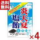 サクマ 炎天夏塩飴 60g×4袋入 (ポイント消化) (np) (賞味期限2026.3月末) (メール便全国送料無料)