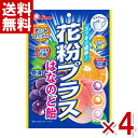 ライオン菓子 花粉プラス はなのど飴 70g×4袋 (最短当日出荷) (ポイント消化) (CP) (レ) (賞味期限2025.12月末) (メール便全国送料無料)
