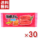 (賞味期限2025.8.14) やおきん 蒲焼さん太郎 30入 (アウトレット 訳あり お菓子 見切り品 セール 駄菓子 珍味) (ポイント消化) (np) (メール便全国送料無料)*