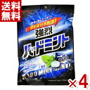 春日井製菓 ハードミント 85g×4袋入 (ミント 飴) (ポイント消化) (np-3) (賞味期限2026.2月末) (メール便全国送料無料)