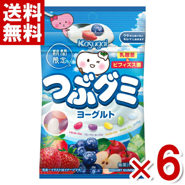 春日井製菓 つぶグミ ヨーグルト 75g×6袋入 (np-2) (賞味期限2026.6月末) (メール便全国送料無料)のサムネイル