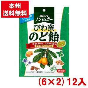 カンロ ノンシュガーびわ蜜のど飴 (6×2)12入 (枇杷蜜 キャンディ 個包装)(本州送料無料)