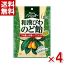 カンロ ノンシュガー 和漢びわのど飴 80g×4袋 (最短当日出荷) (ポイント消化)(np)(賞味期限2027.2月末) (メール便全国送料無料)