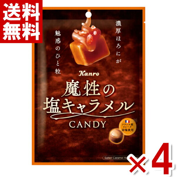 カンロ 魔性の塩キャラメルキャンディ 65g×4袋 (ポイント消化) (np-3) (賞味期限2026.7月末) (メール便全国送料無料)のサムネイル