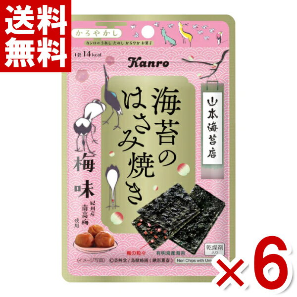 (賞味期限2024.6月末) カンロ 海苔のはさみ焼き 梅味 4.8g×6入 (アウトレット 訳あり お菓子) (ポイント消化) (np) (メール便全国送料無料)*