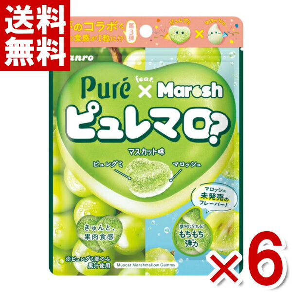 カンロ ピュレマロ マスカット 52g×6入 (ピュレグミ マロッシュ) (ポイント消化) (np) (賞味期限2025.10月末) (メール便全国送料無料)のサムネイル