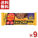ブルボン プロテインバー チョコレートクッキー 40g×9入 (ポイント消化)(np)(賞味期限20 ...