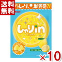 (賞味期限2025.11月末) カバヤ しゃりinグミ レモン 52g×10入 (最短当日出荷)(最強配送) (アウトレット 訳あり お菓子 見切り品 セール 新食感 グミ お菓子) (ポイント消化) (np) (メール便全国送料無料)*