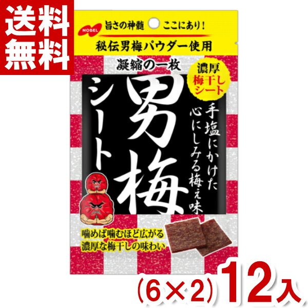 ノーベル 男梅シート (6×2)12袋入 (最短当日出荷) (最強配送)(熱中症対策 塩分補給 うめ)(ポイント消化) (np-3) (賞味期限2026.6月末) (メール便全国送料無料)