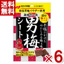 ノーベル 男梅シート 27g×6袋入 (最短当日出荷)(熱中症対策 塩分補給 うめ)(ポイント消化) (np) (賞味期限2026.3月末) (メール便全国送料...