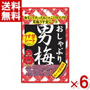 ノーベル おしゃぶり男梅シート 10g×6袋入 (ポイント消化) (np) (メール便全国送料無料)