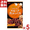 なとり 大豆ミートでつくったスモークカルパス 76g×5入 (SOY おつまみ ロカボ 大豆 まとめ買い)(ポイント消化)(np)(メール便全国送料無料)