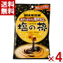 楽天ゆっくんのお菓子倉庫2号店味覚糖 塩の花 焦がしミルクと塩チョコ 80g×4袋セット （ポイント消化）（np）（賞味期限2025.2月末） （メール便全国送料無料）