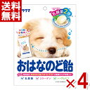 サクマ おはなのど飴 62g×4袋 (ポイント消化) (np)(賞味期限2026.3月末) (メール便全国送料無料)