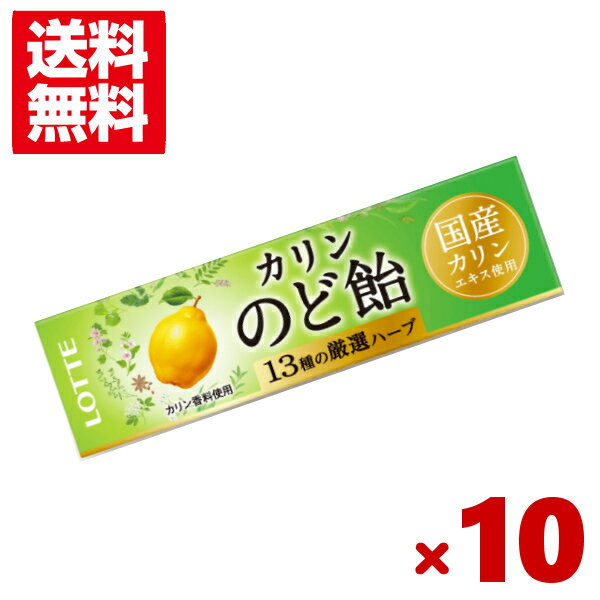 ロッテ のど飴スティック 10入 (スティックキャンディ カリン)(ポイント消化) (np)(賞味期限2024.11月末) (メール便全国送料無料)