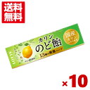 (賞味期限2025.5月末) ロッテ のど飴スティック 10入 (アウ...(4)