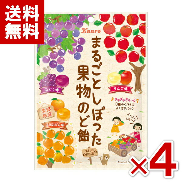 カンロ まるごとしぼった果物のど飴 (ぶどう味・りんご味・温州みかん味) 80g×4袋セット (NEW) (ポイント消化) (np-3) (賞味期限2027.9月末) (メール便全国送料無料)
