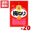 ノーベル 20g ねりり 梅ねり (10×2)20入 (ポイント消化) (np-2) (賞味期限2026.1月末) (メール便全国送料無料)