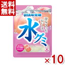 味覚糖 水グミ 清水白桃味 40g 10入 もも グミ 透明 お菓子 まとめ買い ポイント消化 np 賞味期限2024.12月末 メール便全国送料無料 