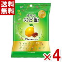 ロッテ のど飴 袋 102g×4袋 (カリン ハーブ のどあめ) (ポイント消化) (np-3)(賞味期限2025.11月末) (メール便全国送料無料)