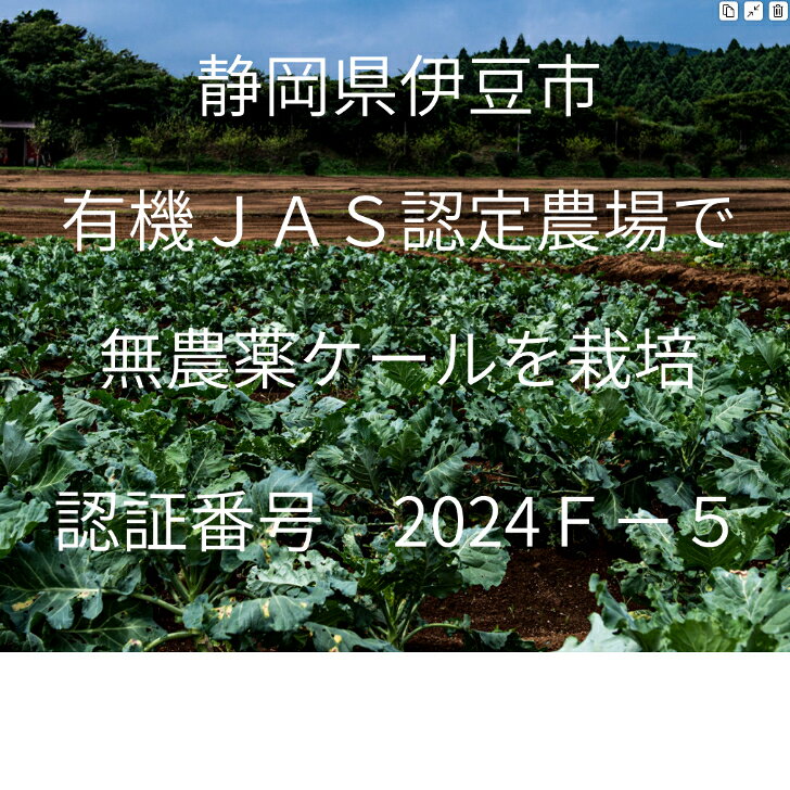 有効微生物研究所 美どりと酵素 お試し14日分 ケール 3g×14包 酵素ドリンク 無添加...