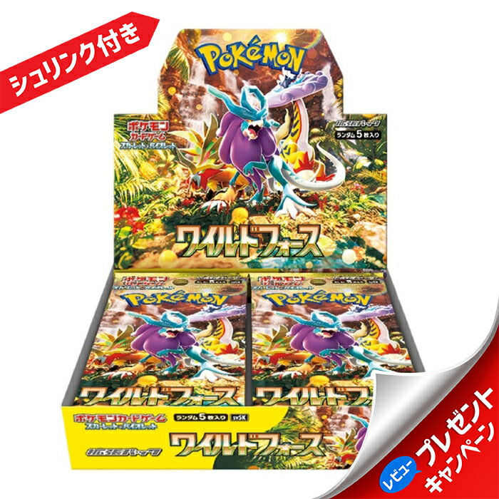 ポケモンカード プレミアム BOX くじ 画像内確定 シュリンク付き 全100口 福袋