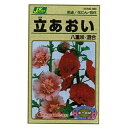 まき時期(春まき)・・・3月中旬~6月中旬、(秋まき)・・・9月上旬~10月中旬、開花時期(春まき)・・・7月~9月、(秋まき)・・・翌年6月中旬~8月中旬