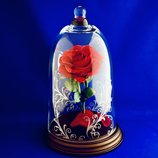 �ץꥶ���֥ɥե��֤��Х���������å��饹�ɡ�������ŷ����������ɥѥ������ձʱ�ΰ����ħ��饮�եȥץ��ݡ����뺧��ǰ����������������ͤؤ�����쥤��ƥꥢ...