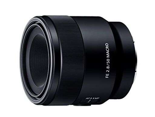 ˡ(SONY) ޥ ե륵 FE 50MM F2.8 MACRO ǥ㥫馡[Eޥ]  SEL50M...