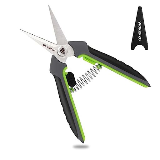 WORKPROФ߱ݤФϥߥڤ밮䤹åդڻڤ̼ߺȤϤߥ꡼...