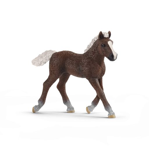 SCHLEICH饤ҥեɥĥ()ե奢13899