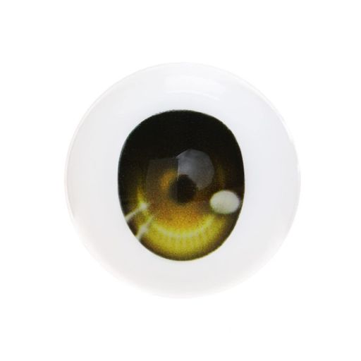 ɡ륳쥯ƥ֥륪ӥݤƷ(ӥĥ)G10mm֥饦EYOB-G10-BR