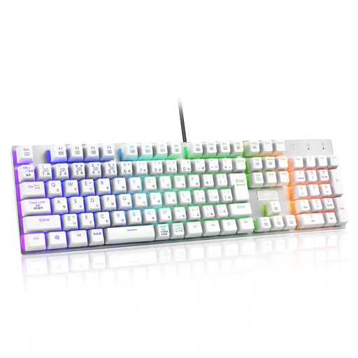 【日本語配列】e元素メカニカル式ゲーミングキーボード赤軸・青軸を採用フルサイズ109キーType-CUSB有線接続全キー防衝突RGB発光LEDバックライト付きWindows/MacOS対応オフィス/ゲーム用JP配列…