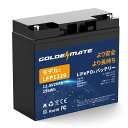 GOLDENMATE 12.8V 20AH LIFEPO4バッテリー リン酸鉄リチウムイオンバッテリー 256WH BMS内蔵20A 2000以上のサイクル 小...