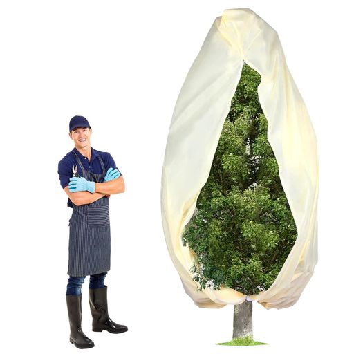 ݸС ʪ ɴС ͥå Կ ɴ ݲ     ɻ ̵ ȭ åѡդ ߤե꡼...