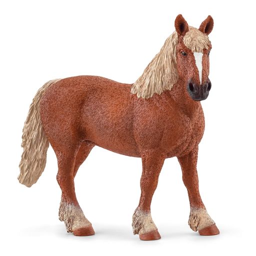 饤(SCHLEICH)եɥ٥른󡦥ɥե13941