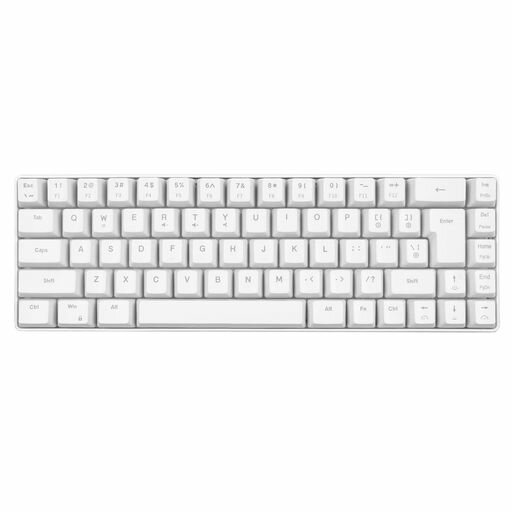 V200 RGB メカニカルゲーミングキーボード 68 キー有線 RGB バックライト付きキーボード PC WIN98SE 用 (白) V200 RGB メカニカルゲーミングキーボード 68 キー有線 RGB バックライト付きキーボード PC WIN98SE 用 (白)